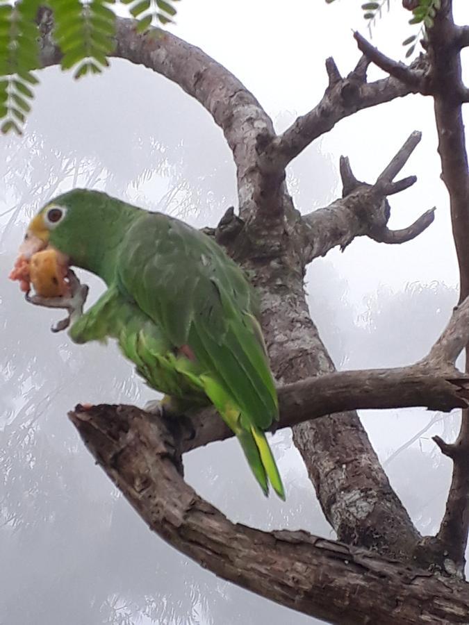 Chaguani Monte Abi Miradorヴィラ エクステリア 写真